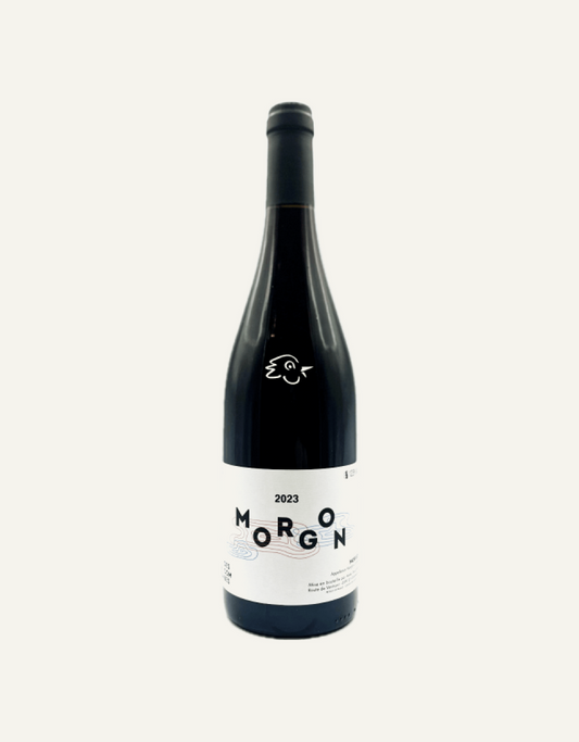 DESCOMBES MORGON 2023
